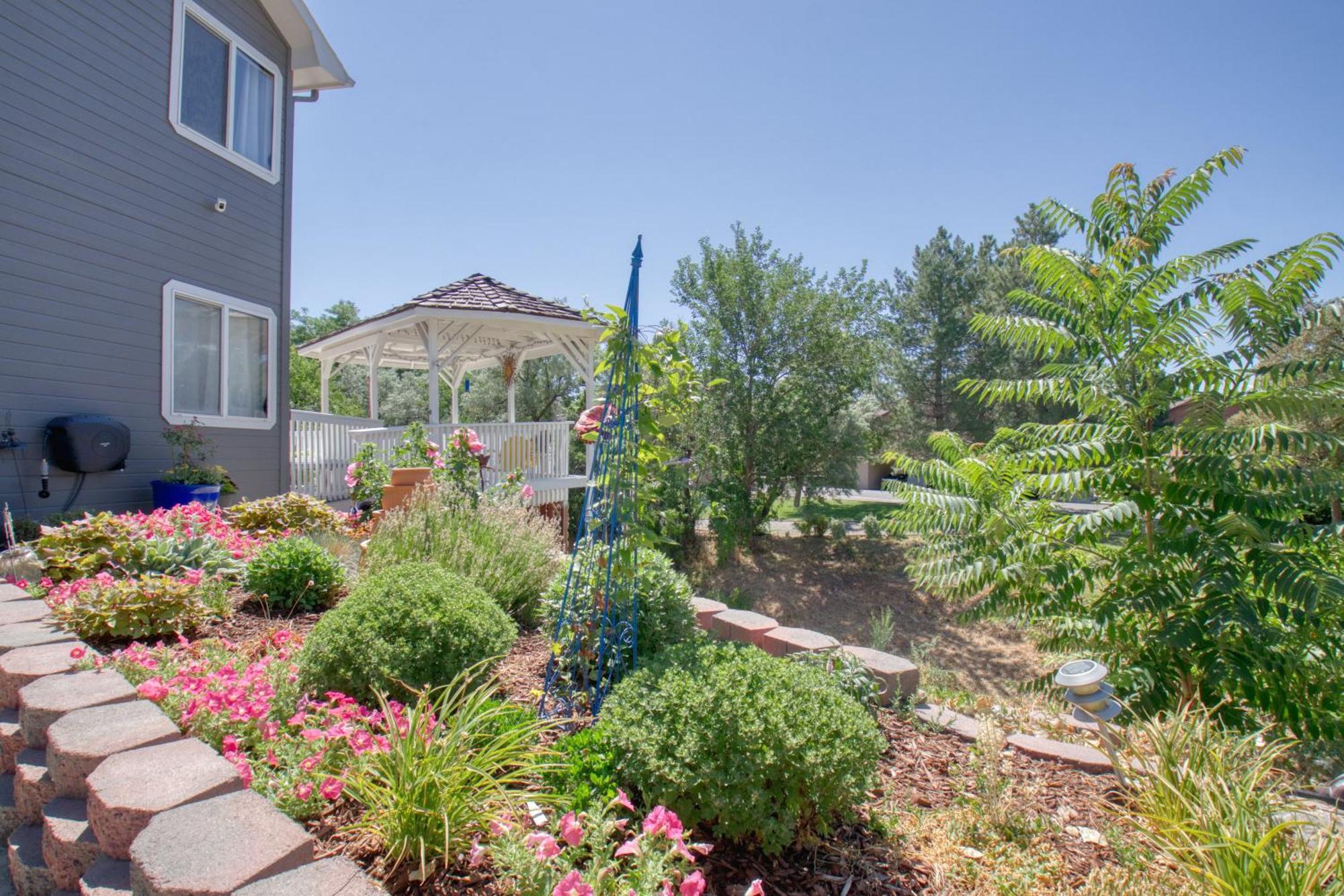לינה וארוחת בוקר גרנד ג'נקשן Castle Creek Manor מראה חיצוני תמונה
